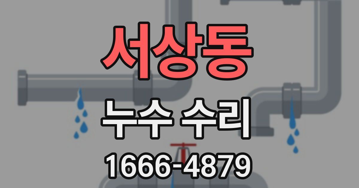 서상동 누수 수리