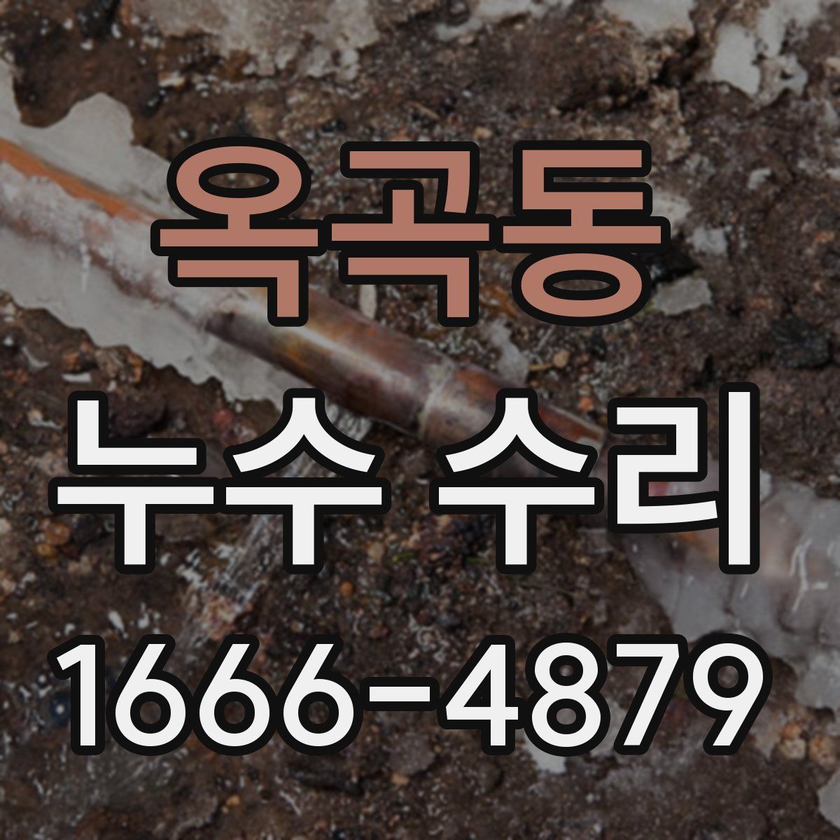 옥곡동 누수 수리