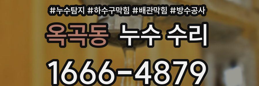 옥곡동 누수 수리