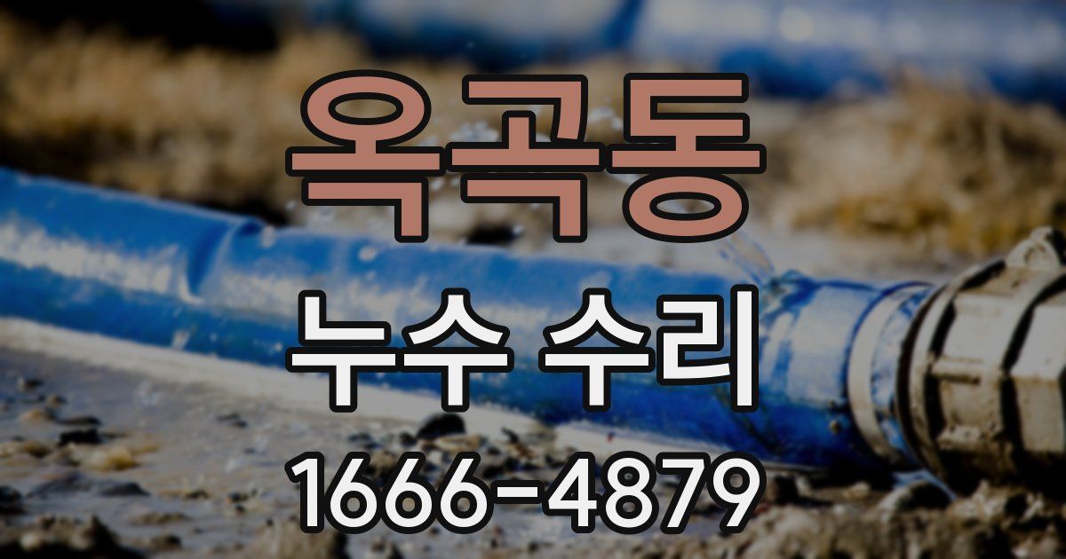 옥곡동 누수 수리