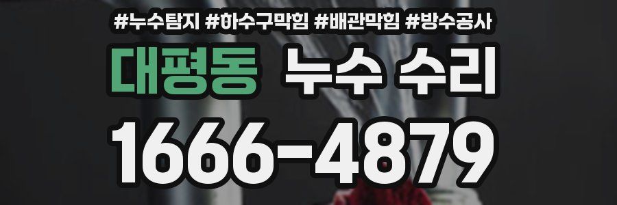 대평동 누수 수리
