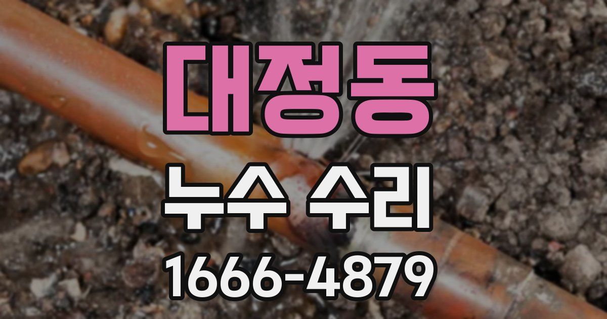 대정동 누수 수리
