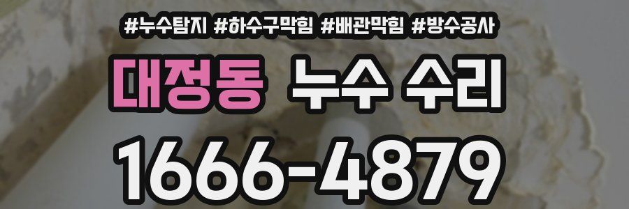 대정동 누수 수리