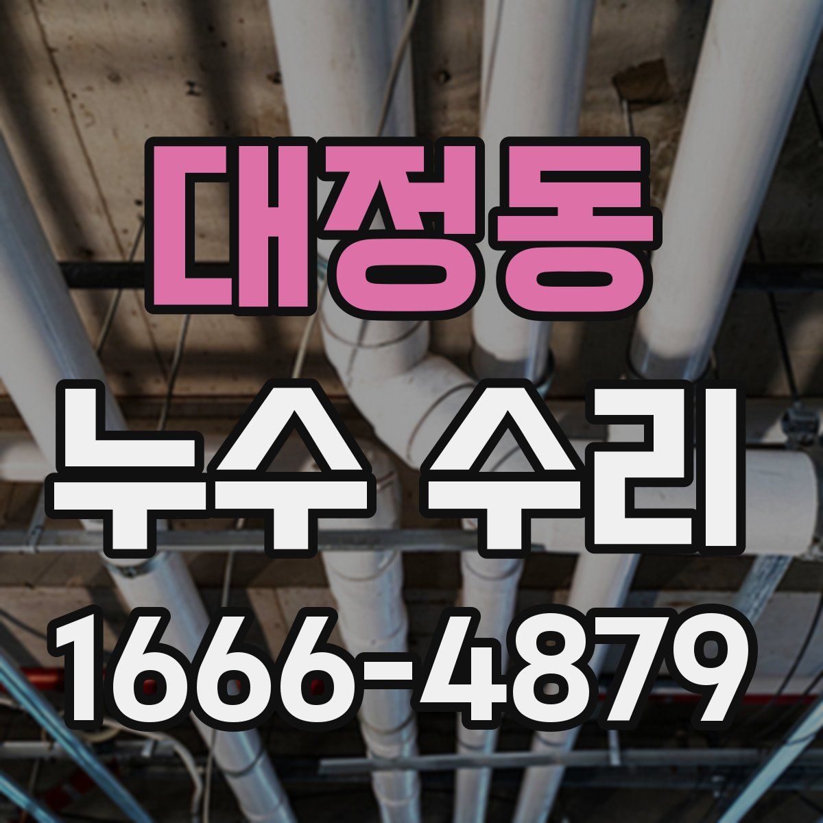 대정동 누수 수리