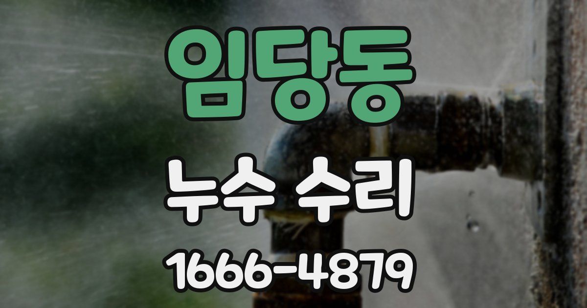 임당동 누수 수리
