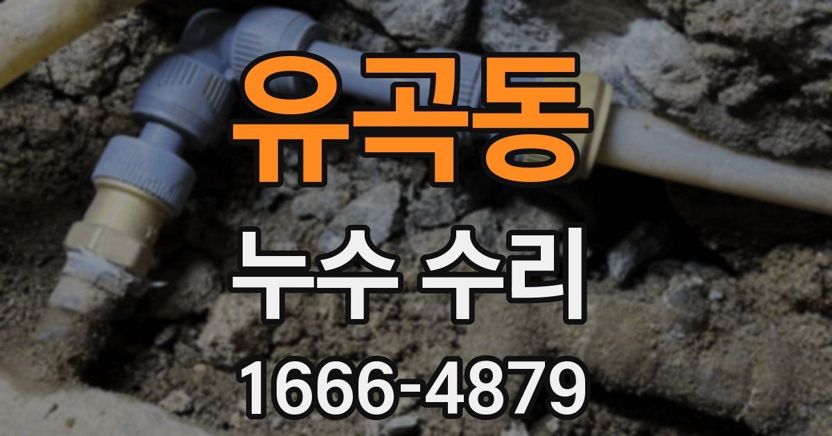 유곡동 누수 수리