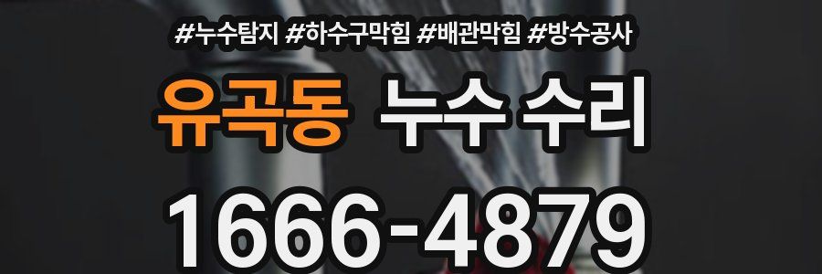 유곡동 누수 수리