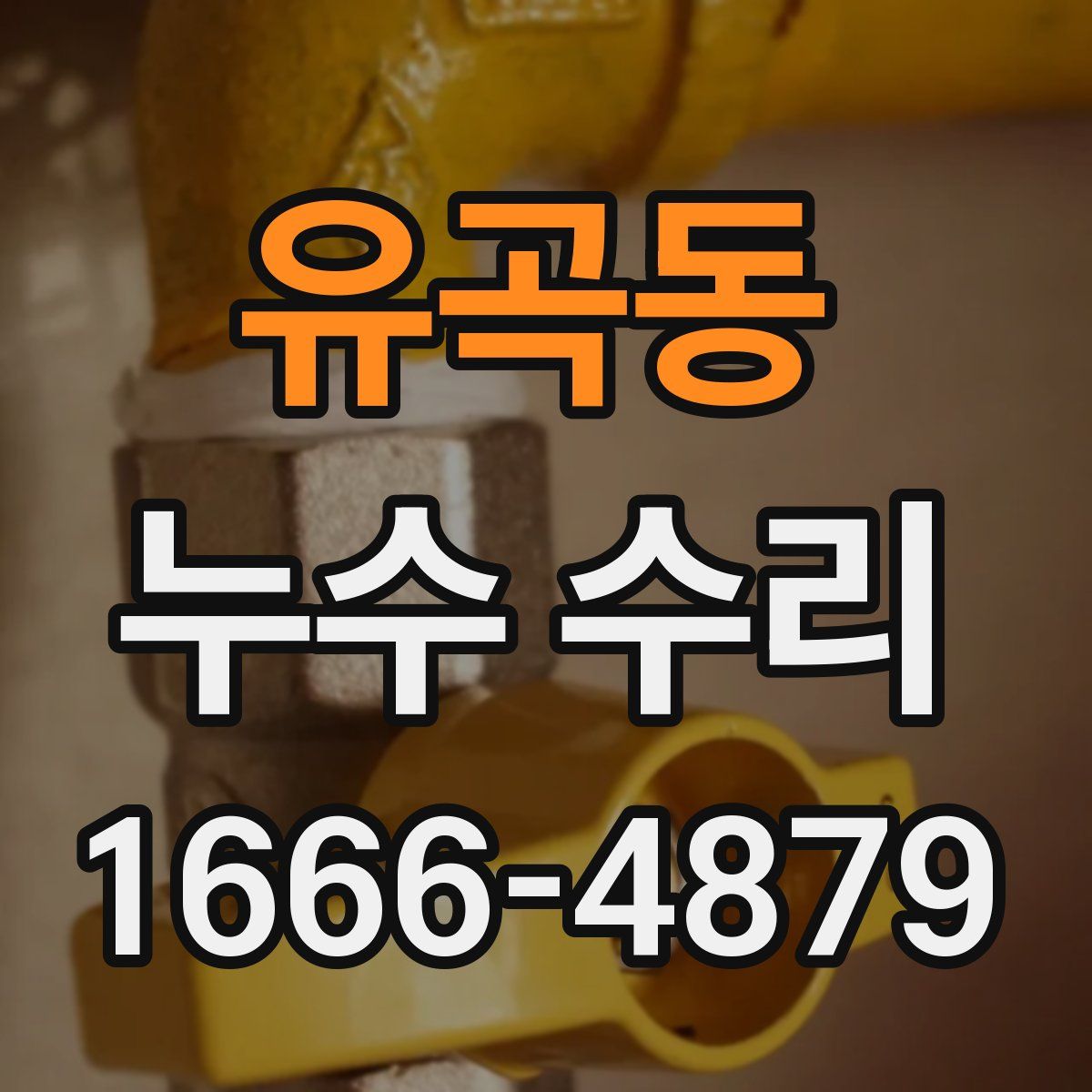 유곡동 누수 수리