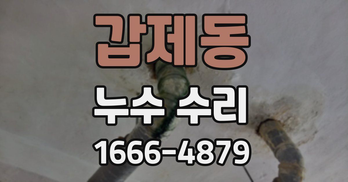갑제동 누수 수리
