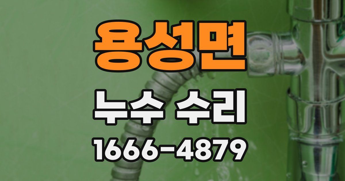 용성면 누수 수리