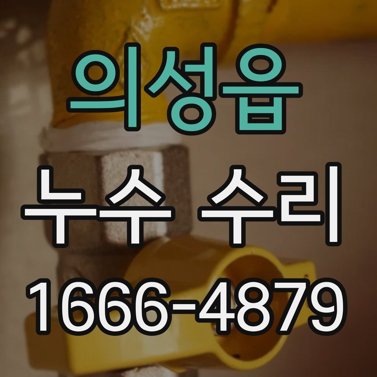 의성읍 누수 수리