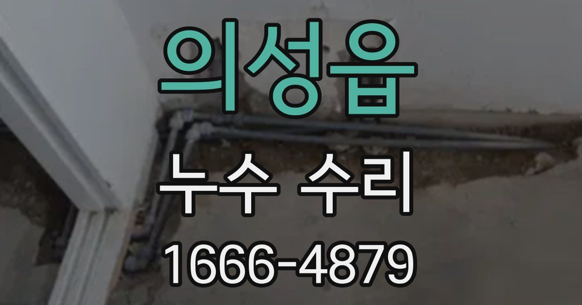 의성읍 누수 수리