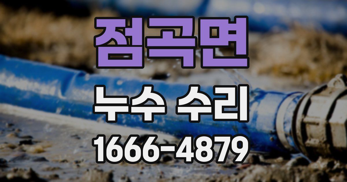 점곡면 누수 수리