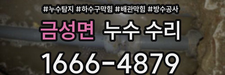 금성면 누수 수리