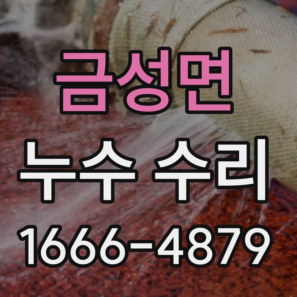 금성면 누수 수리