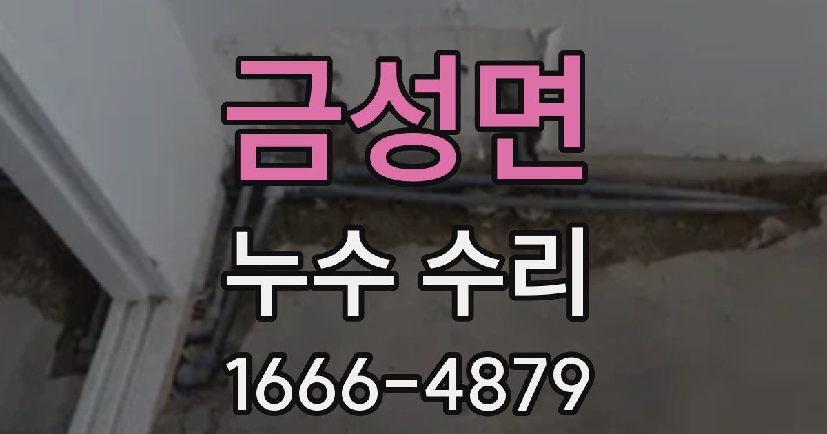 금성면 누수 수리