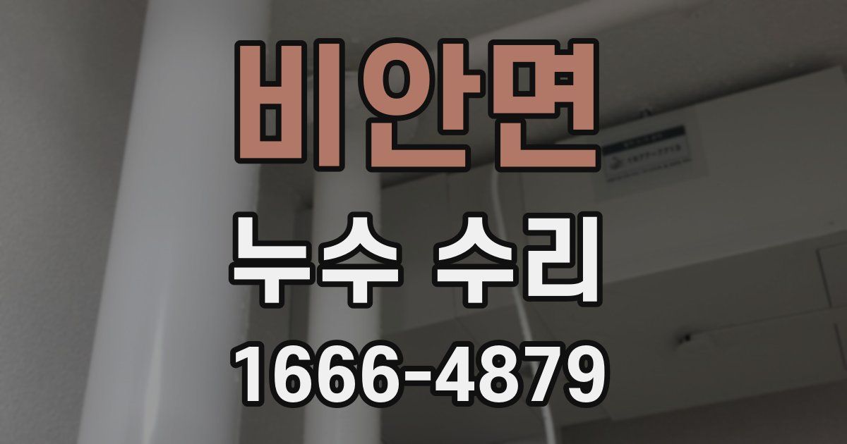 비안면 누수 수리