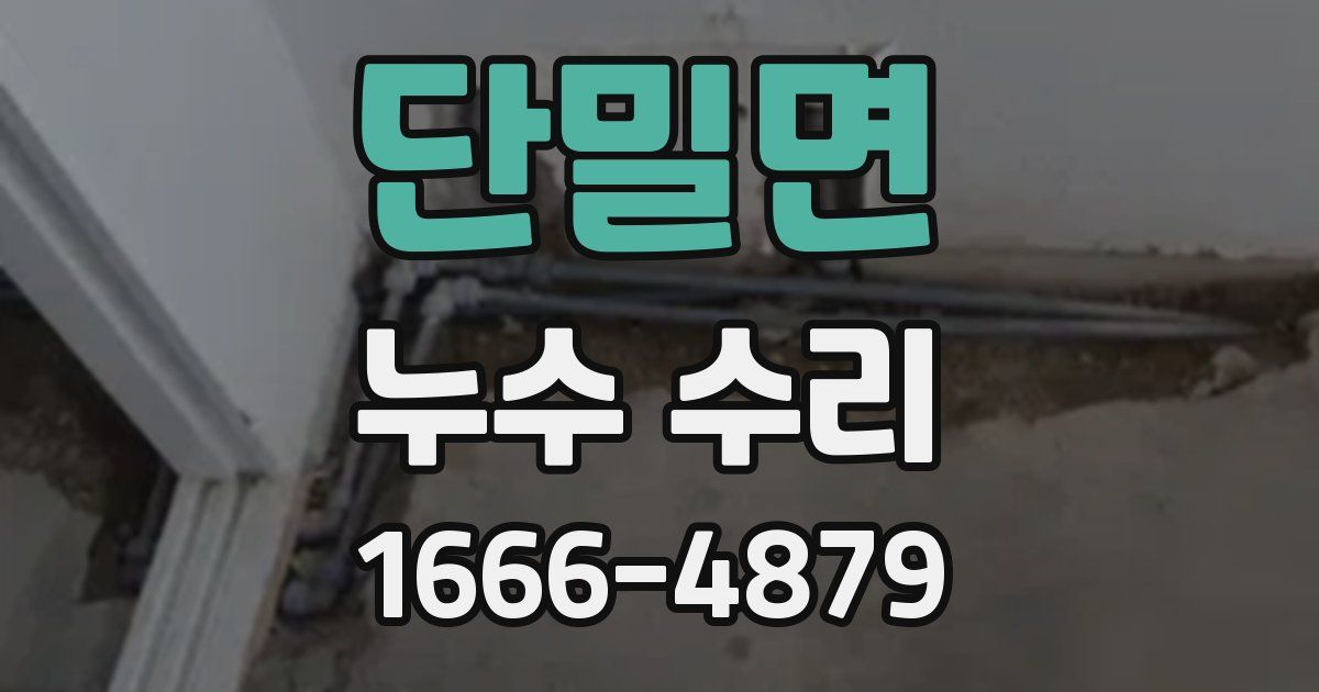 단밀면 누수 수리