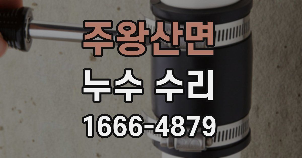 주왕산면 누수 수리