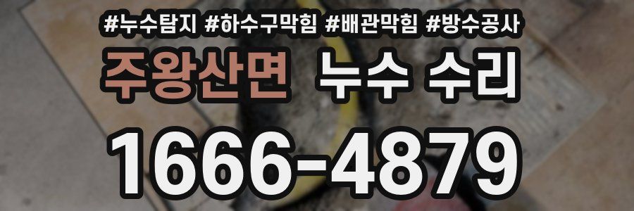 주왕산면 누수 수리