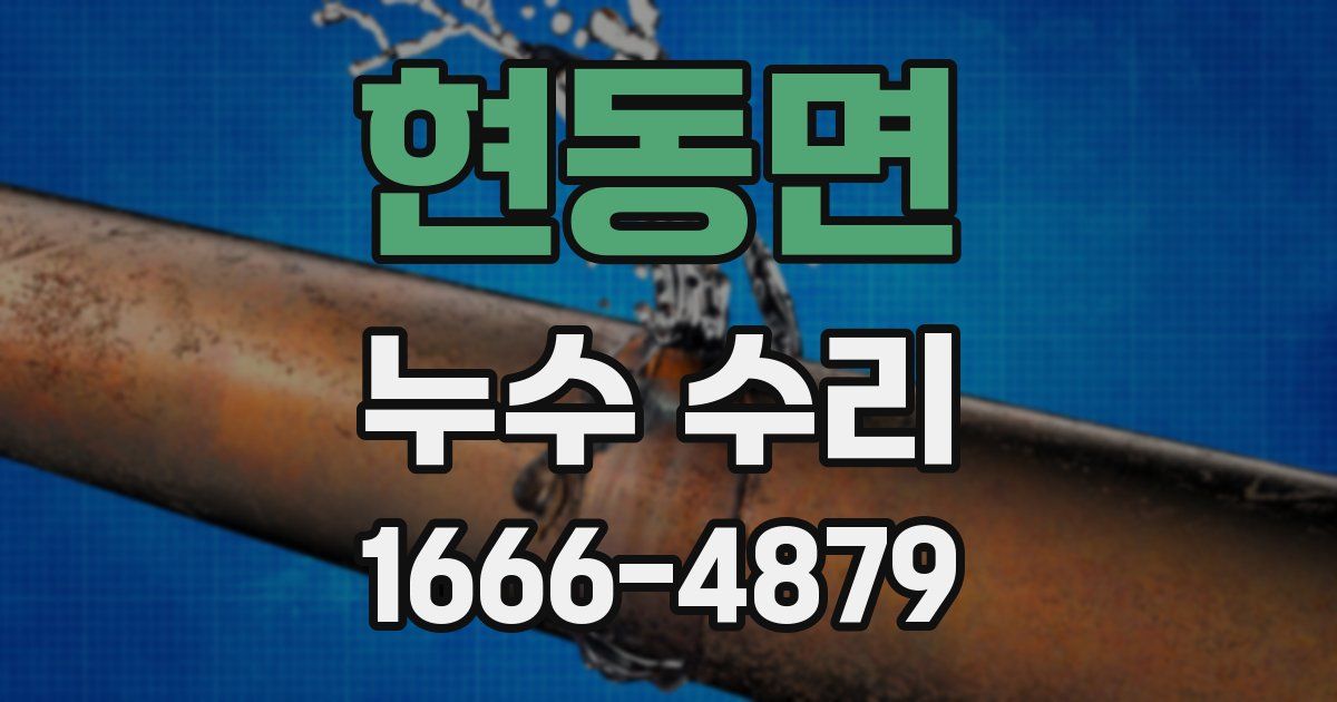 현동면 누수 수리