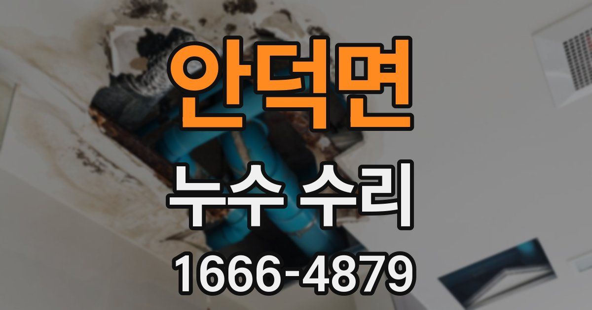 안덕면 누수 수리