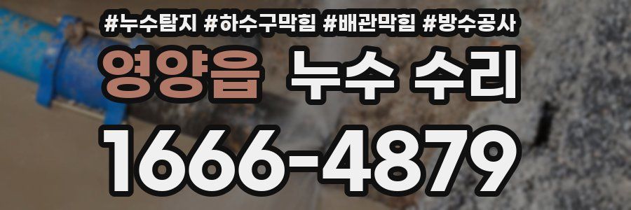 영양읍 누수 수리