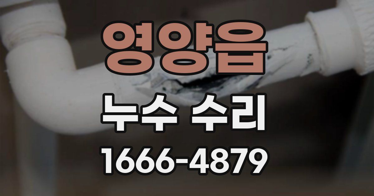 영양읍 누수 수리