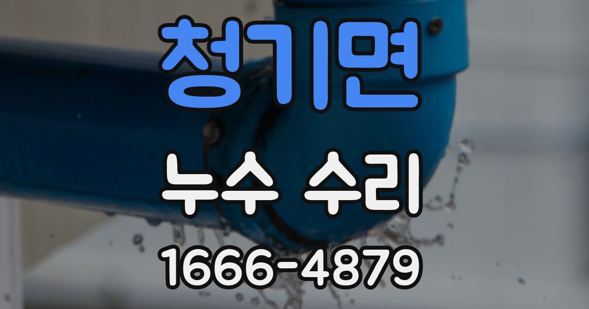 청기면 누수 수리