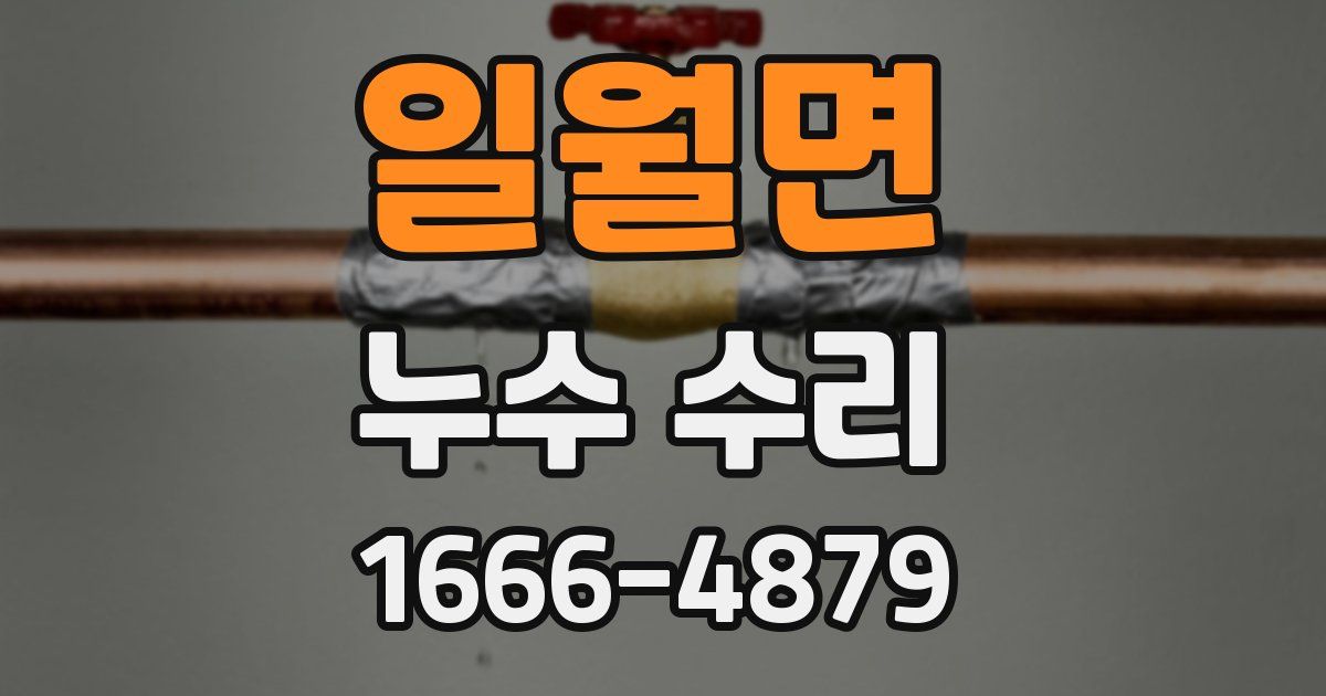 일월면 누수 수리