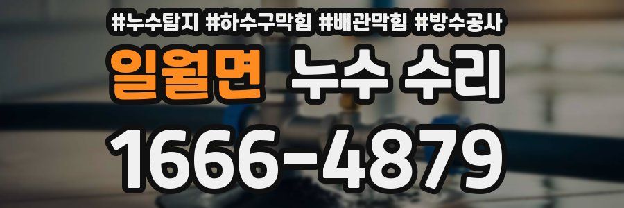 일월면 누수 수리