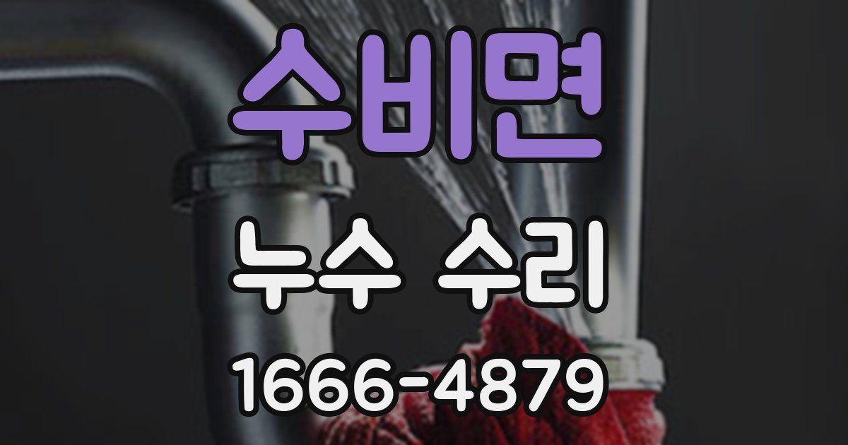 수비면 누수 수리