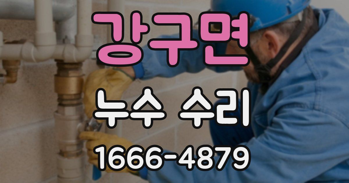 강구면 누수 수리