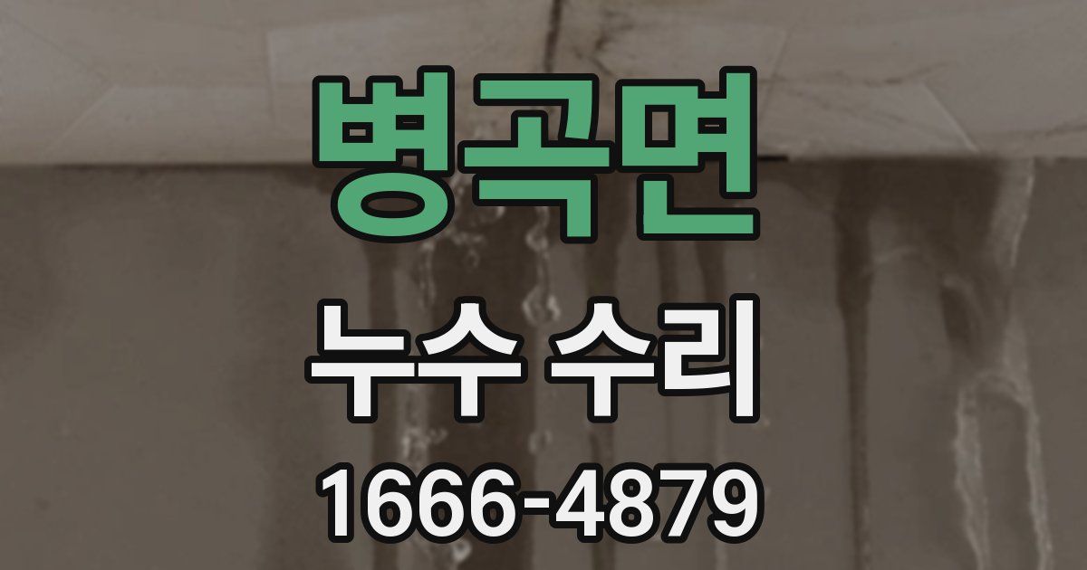 병곡면 누수 수리