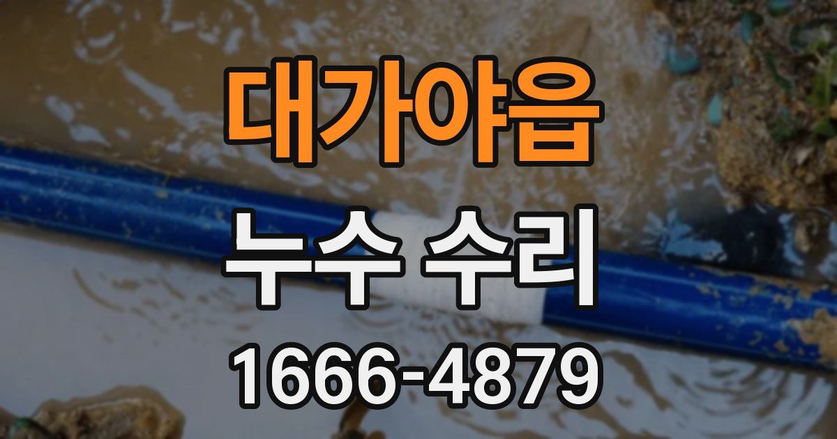 대가야읍 누수 수리