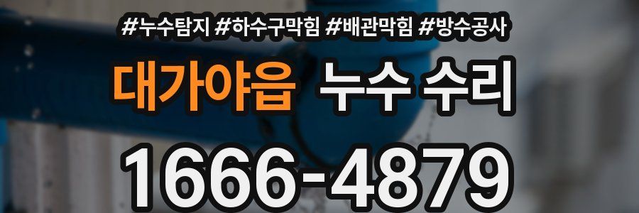 대가야읍 누수 수리