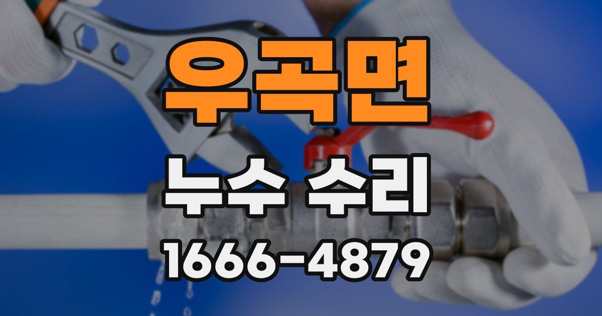 우곡면 누수 수리