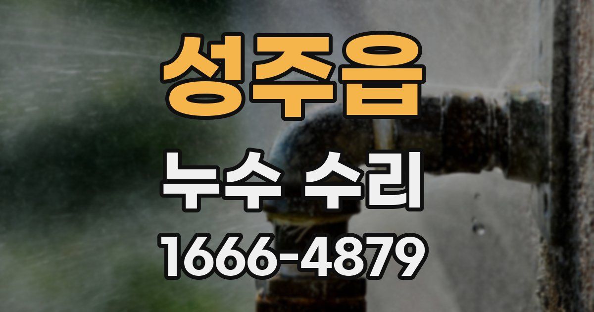성주읍 누수 수리