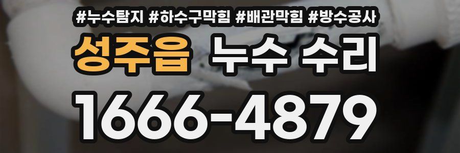 성주읍 누수 수리