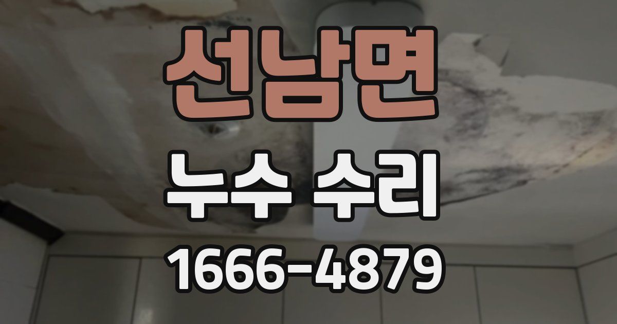 선남면 누수 수리