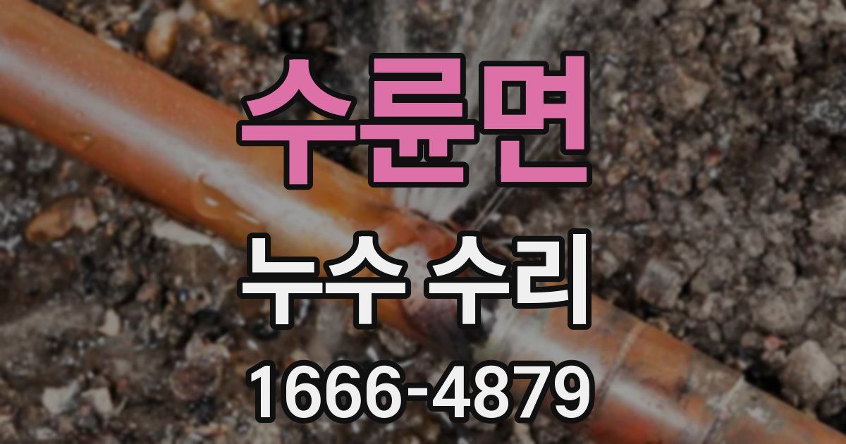 수륜면 누수 수리