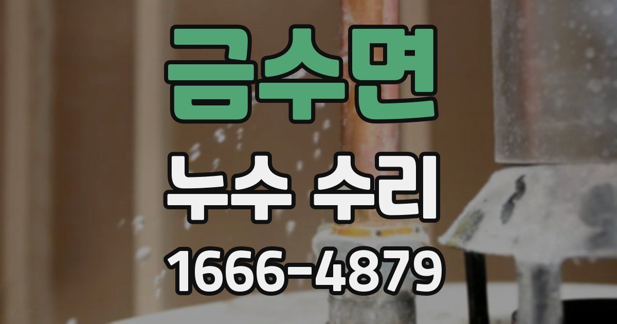 금수면 누수 수리