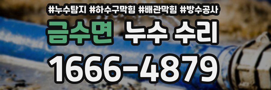 금수면 누수 수리