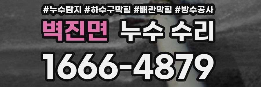 벽진면 누수 수리