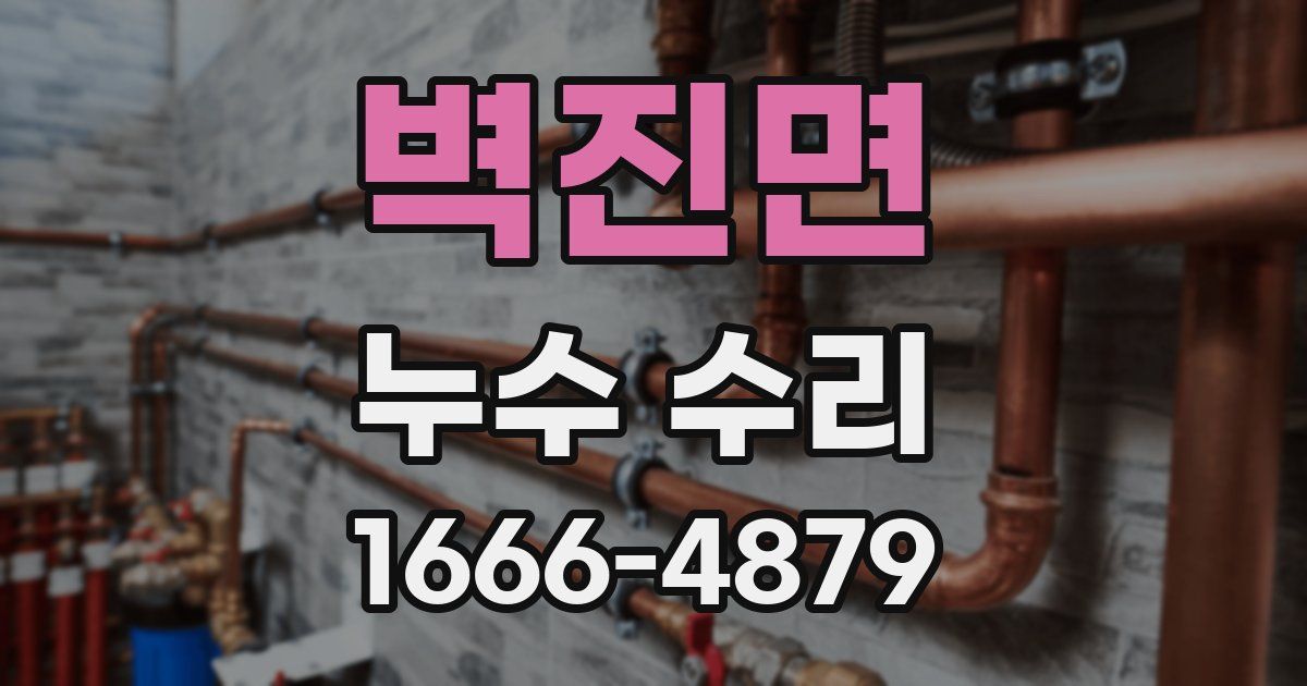 벽진면 누수 수리