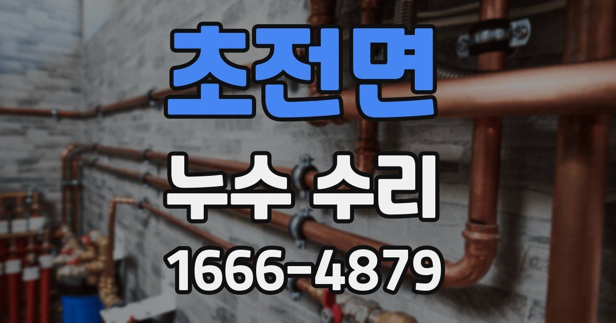 초전면 누수 수리