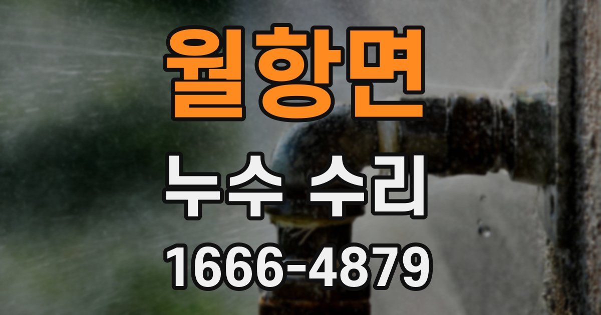 월항면 누수 수리