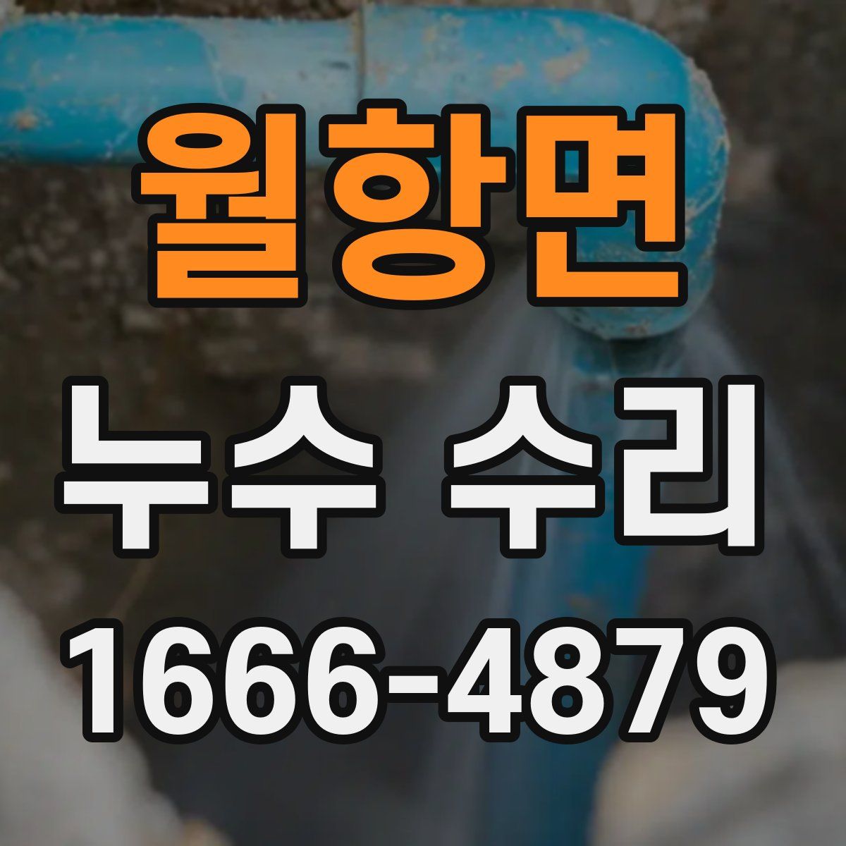 월항면 누수 수리