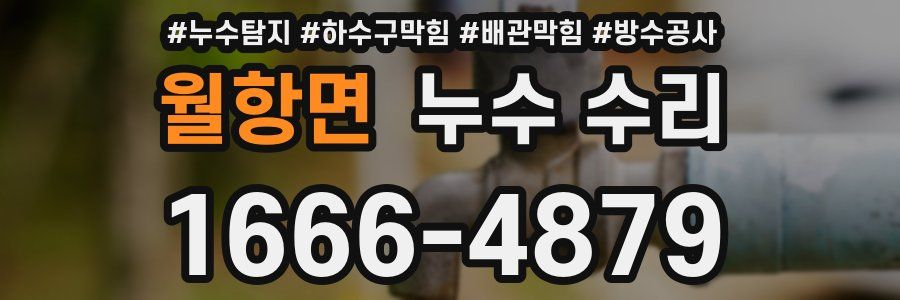월항면 누수 수리