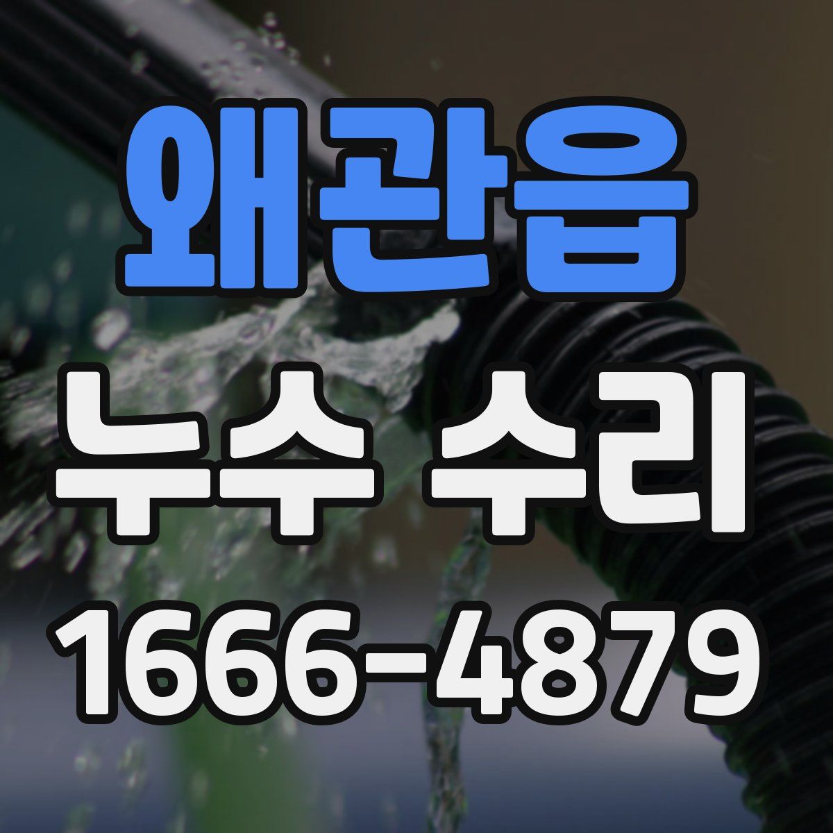왜관읍 누수 수리